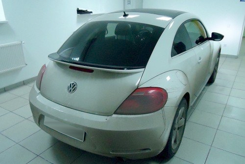 Beetle 